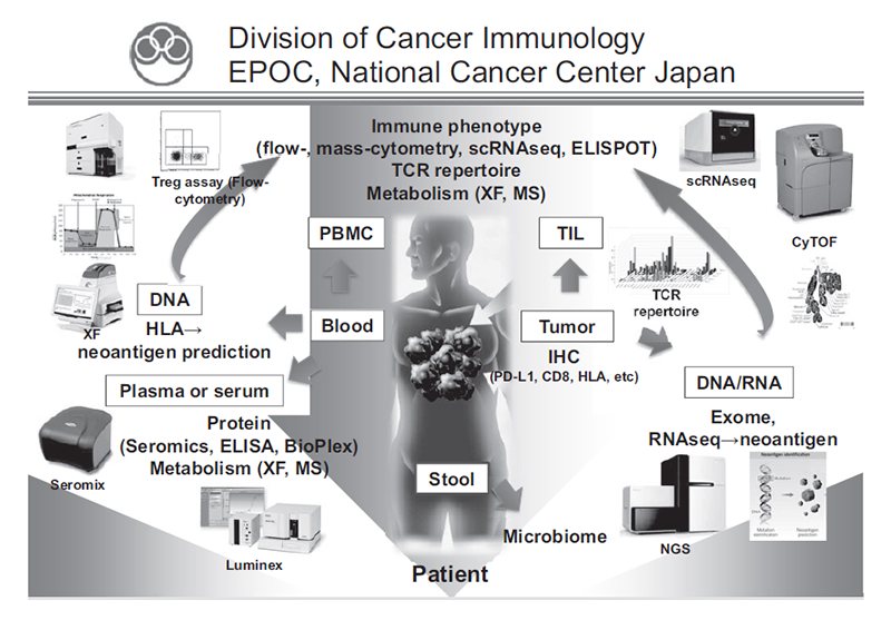 Figure 1. We are investigating the dynamic immune state in cancer patients