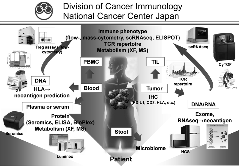 Figure 1. Investigation of the dynamic immune state in cancer patients
