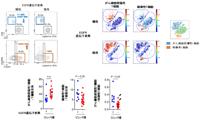 図3. EGFR遺伝子変異の有無のよる肺がん組織内の免疫細胞数のフローサイトメトリーおよびCyTOFを用いた比較検討