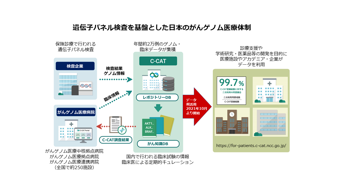 遺伝子パネル検査を基礎とした日本のがんゲノム医療体制