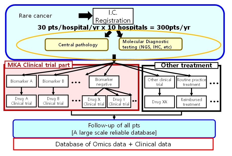 Fig2_MKA.jpg