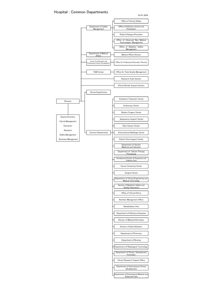 中央病院の英語の組織図の画像