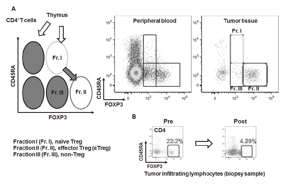 Figure 2. Treg analysis assay(Full Size)