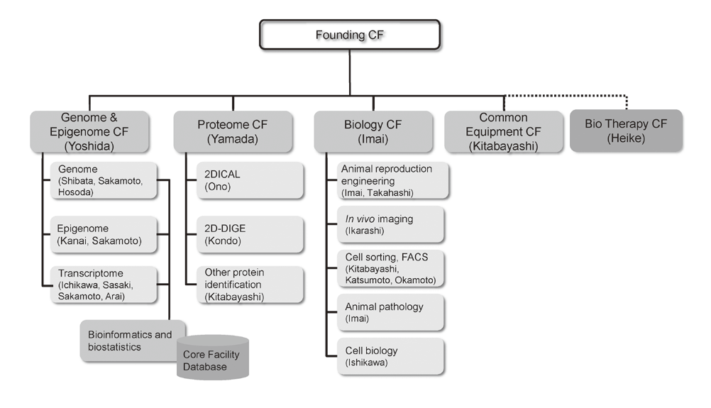 Figure 1. CF Organization (as of 2014, before FIOC)(Full Size)