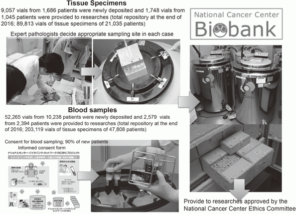 Figure 1. National Cancer Center Biobank