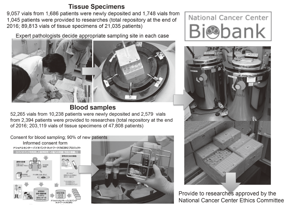 Figure 1. National Cancer Center Biobank(Full Size)