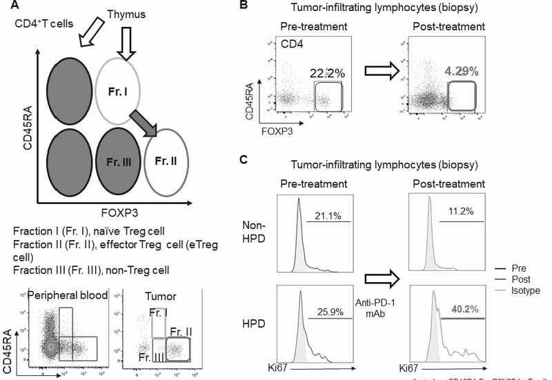 Figure 2. Treg analysis