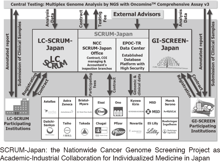 Figure 3.  SCRUM-Japan(Full Size)