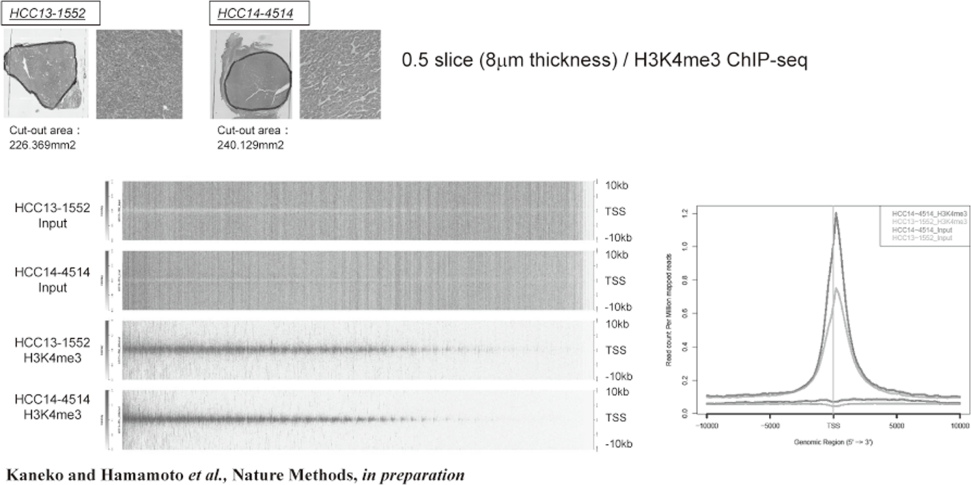 Figure 1. FFPE ChIP-Seq (H3K4me3)(Full Size)