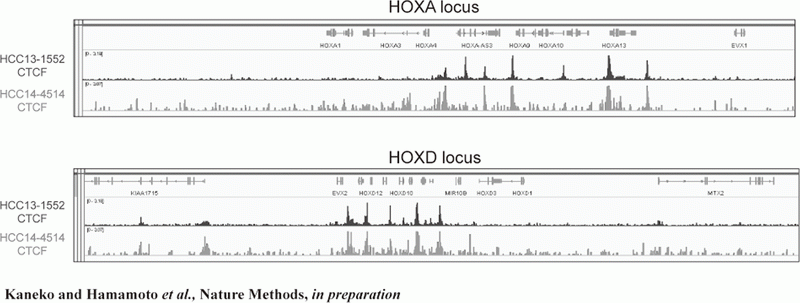 Figure 2. FFPE ChIP-Seq (CTCF)