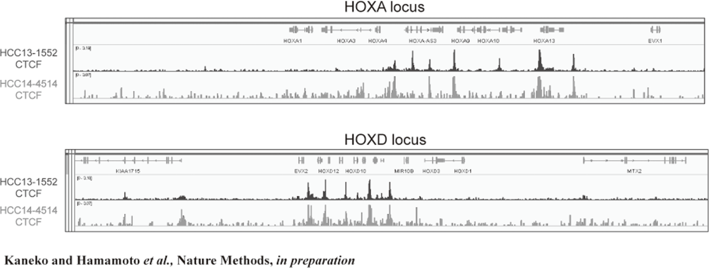 Figure 2. FFPE ChIP-Seq (CTCF)(Full Size)