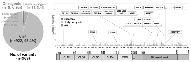 Figure.  Variants of unknown significance (VUS) in the RET gene