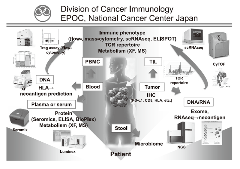 Figure 1. We are investigating the dynamic immune state in cancer patients