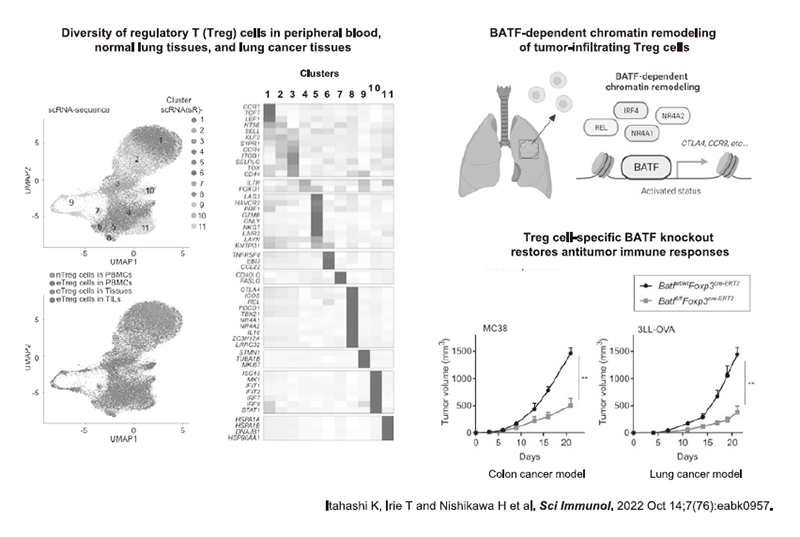 Figure 2. Developing immuno-precision biomarkers and elucidating the mechanisms of PD-1 expression