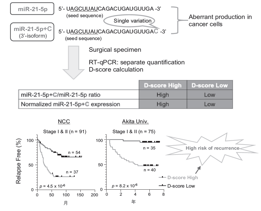 Figure 1. Prediction of recurrence risk by the D-score