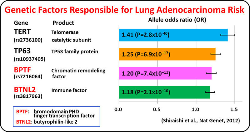 Genetic Factors Responsible for Lung Adenocarcinoma Risk