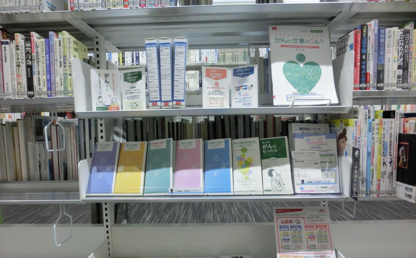 p19_1_hujikawa.JPG