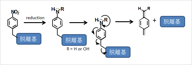 研究内容説明等1