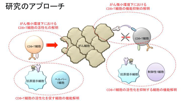 研究のアプローチ