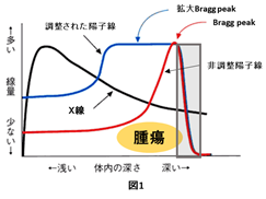 図1