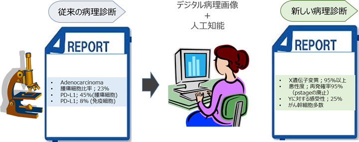 デジタル病理画像模式図