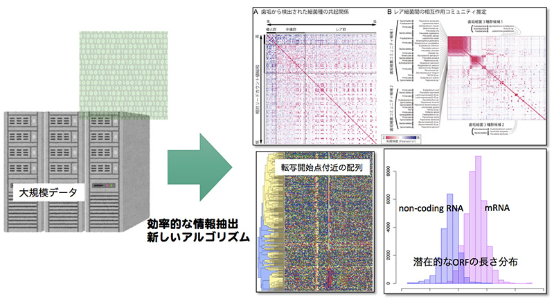 （図）医学・生物学ビッグデータを用いた統合解析による新知識の発見