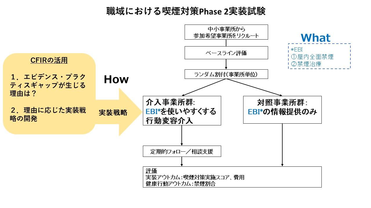 shokuikiniokeru-Phase2sikenn.jpg