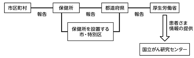 人口動態調査のしくみ