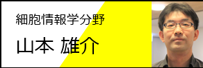 山本　連携大学院