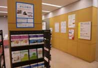 展示内容