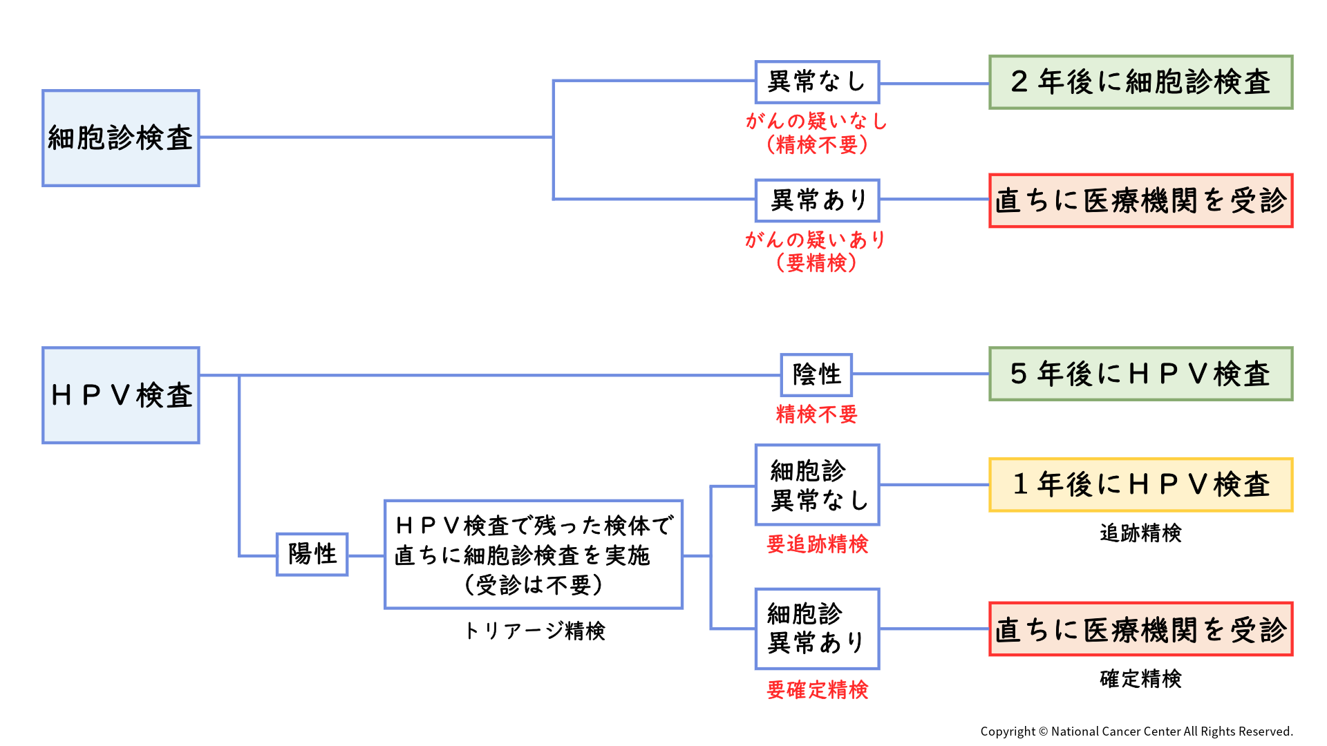 子宮頸がん細胞診検査のフロー