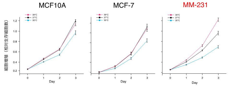 図1 温度による細胞増殖への影響