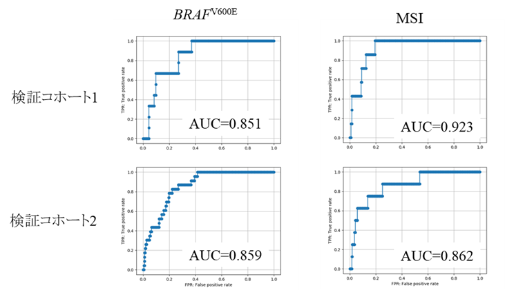 BRAFV600EおよびMSI-Hの病理学的特徴とAUCの関係の画像