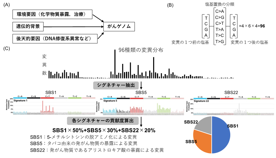 図１