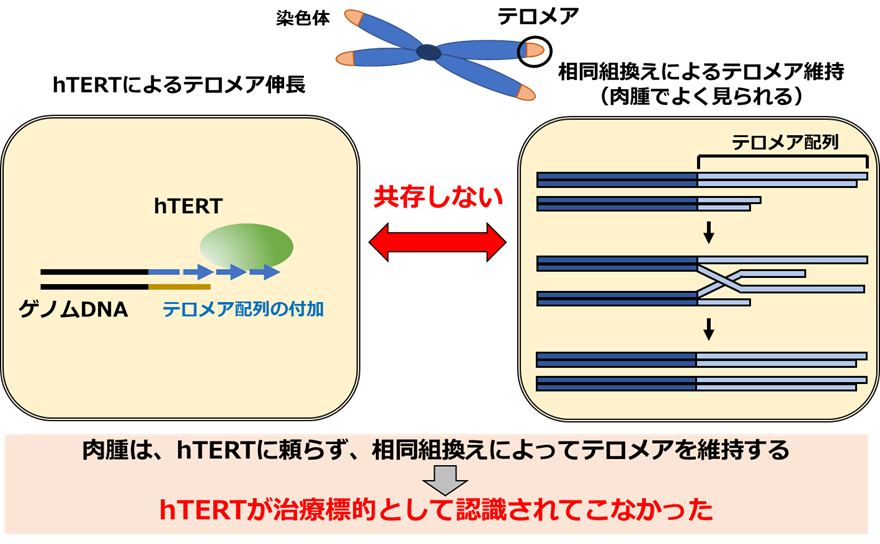 図2