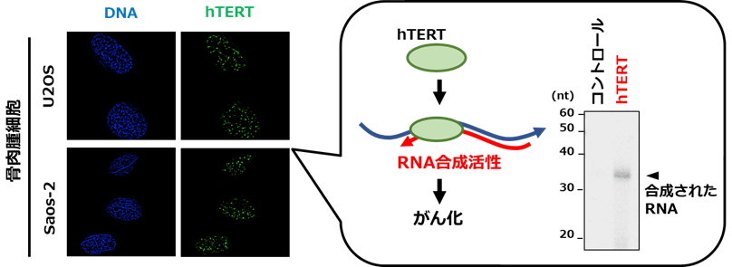 図3