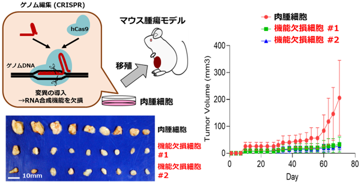 図4