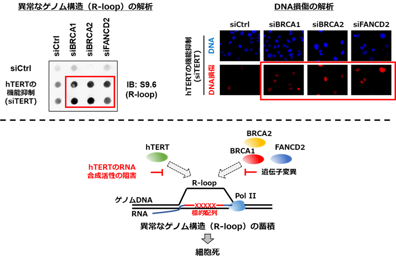 図6