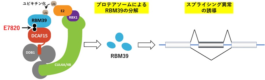 図1