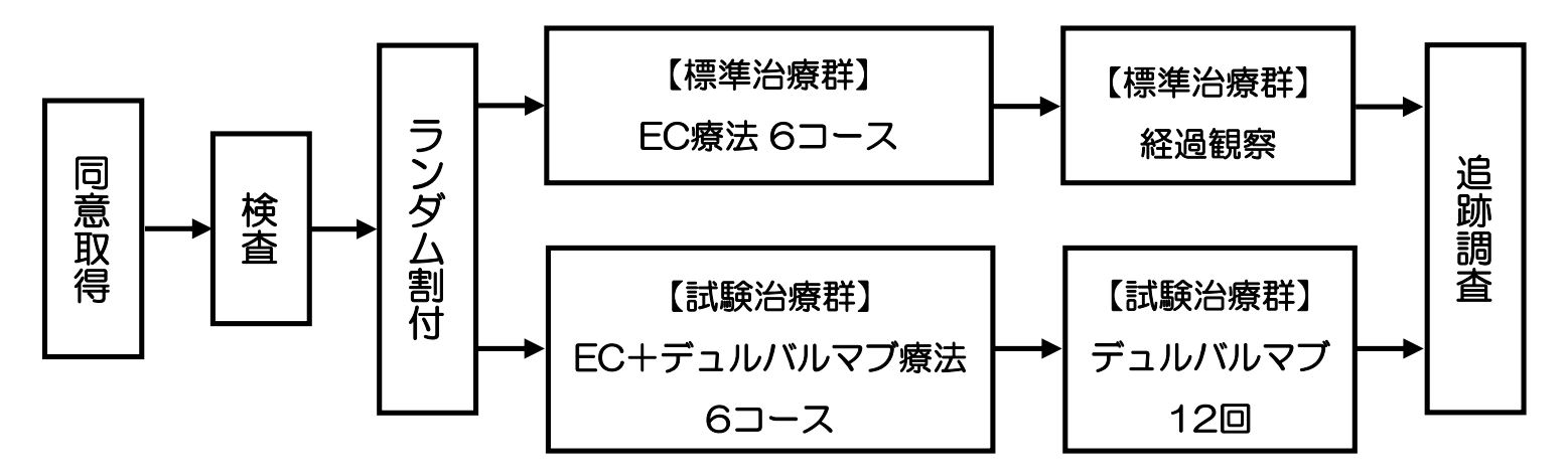 研究シェーマの説明図