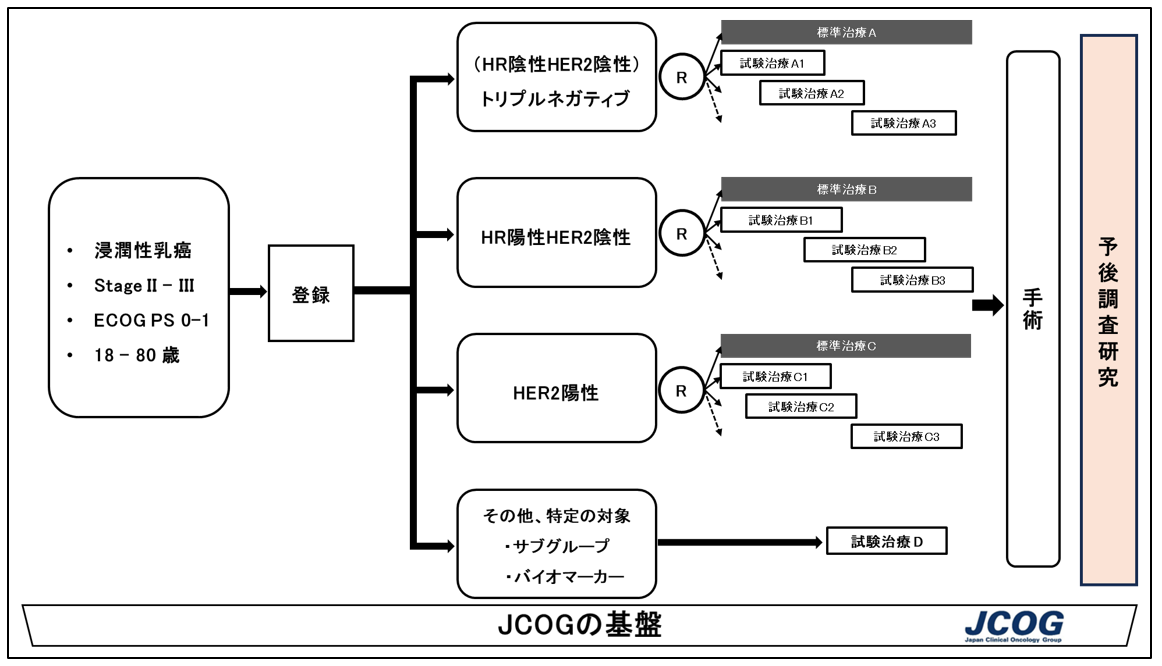 S-FACT試験の概要