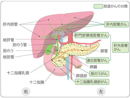 図1