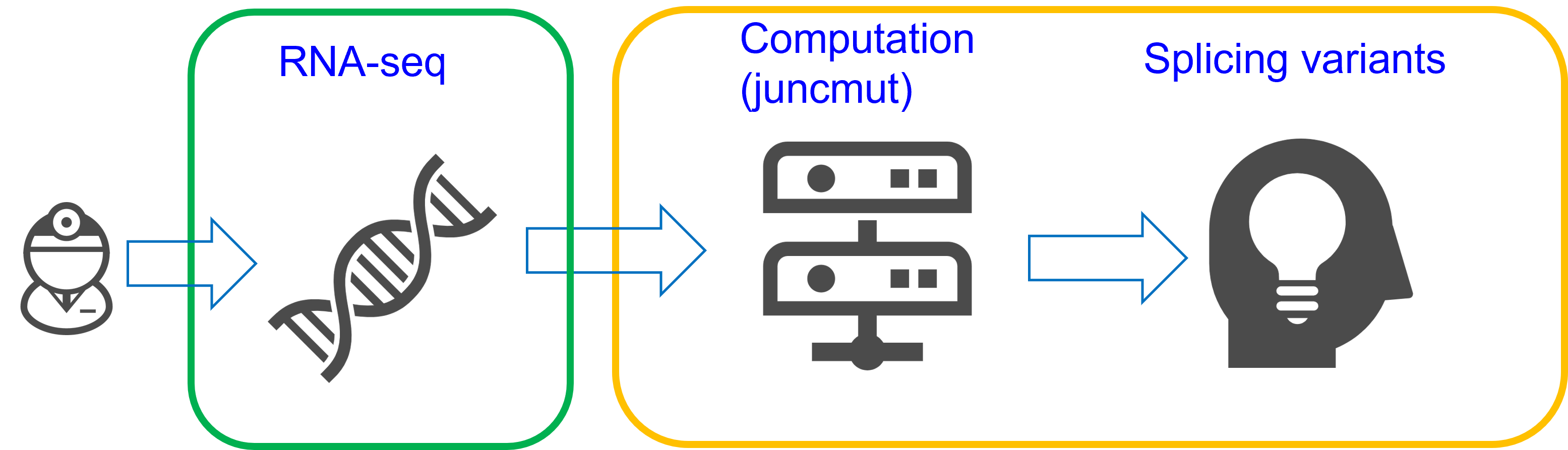 図1