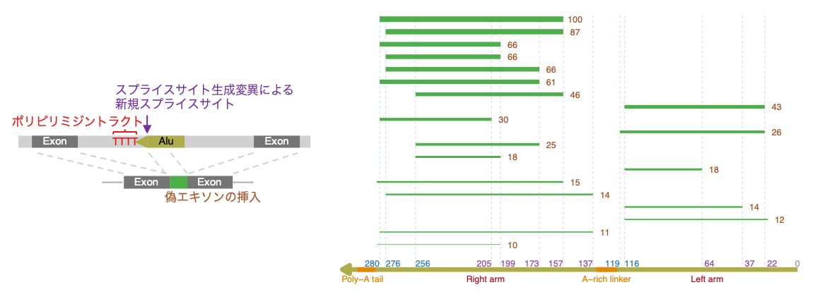 図4