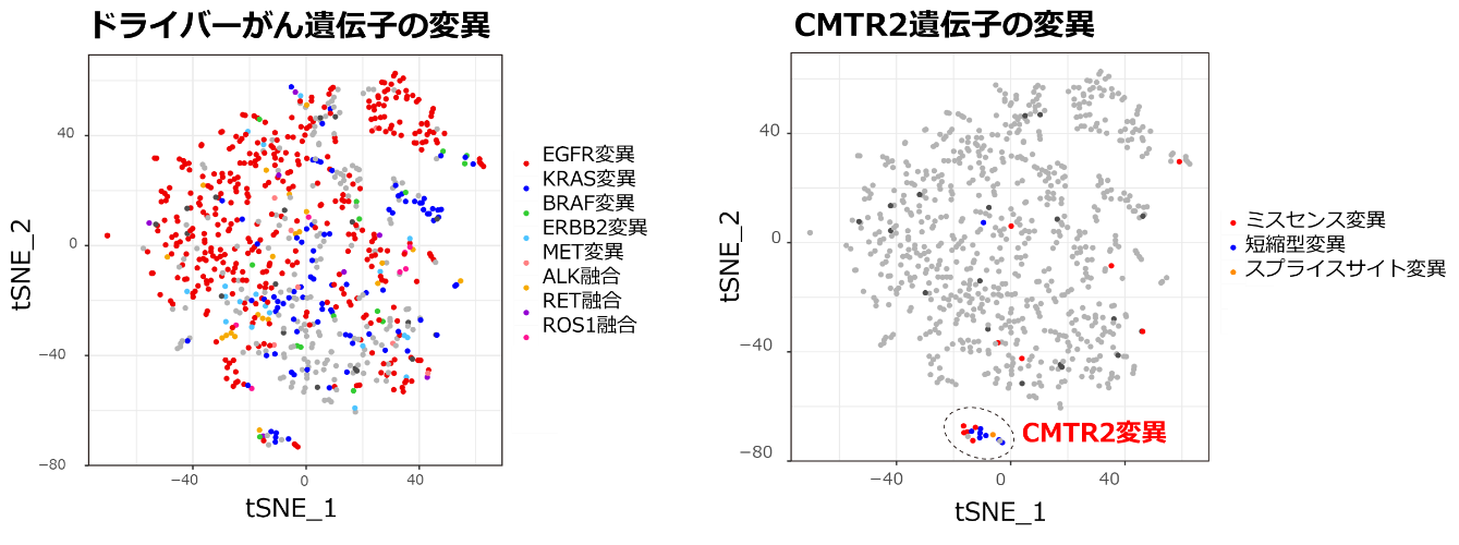RNAスプライシングパターンによる肺腺がんのグルーピングの画像