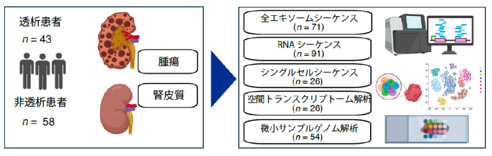 図1 研究概要の画像