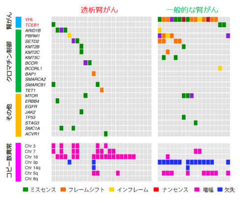 図2 透析腎がんの遺伝子変異の画像