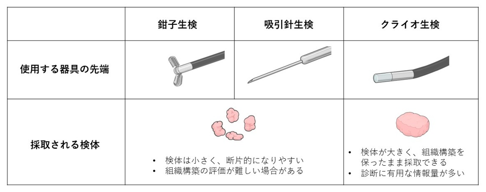 図１