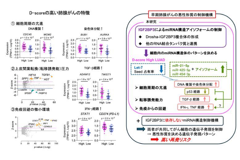 図2