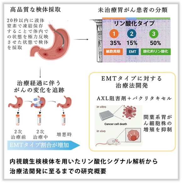 図